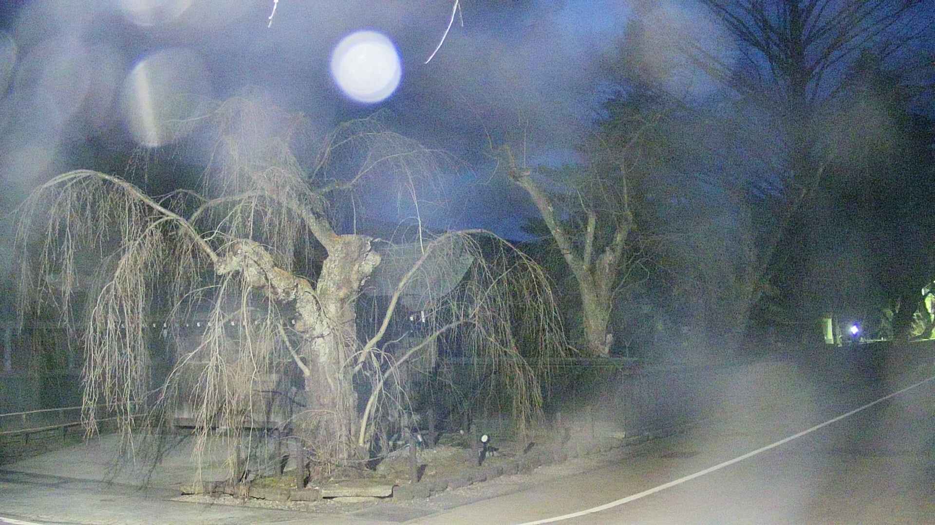 area4-20250413185040.jpg
