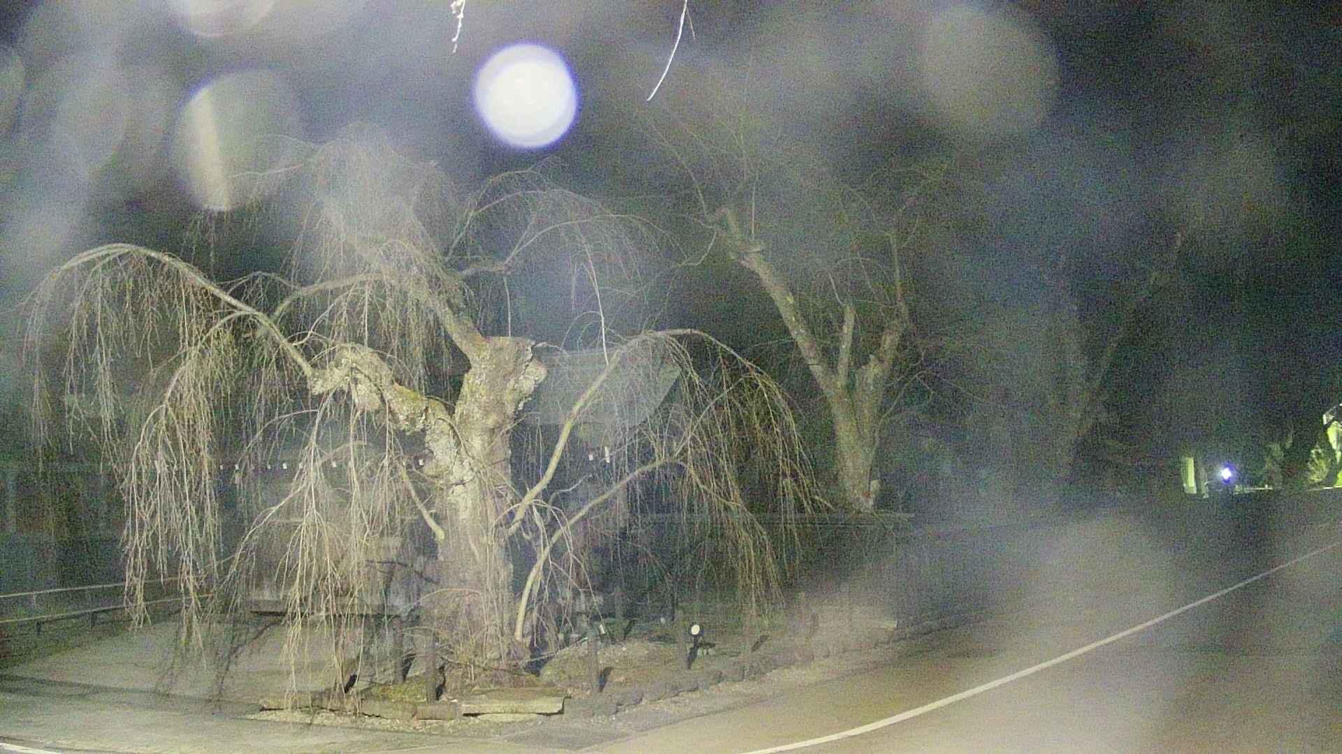 area4-20250413212039.jpg