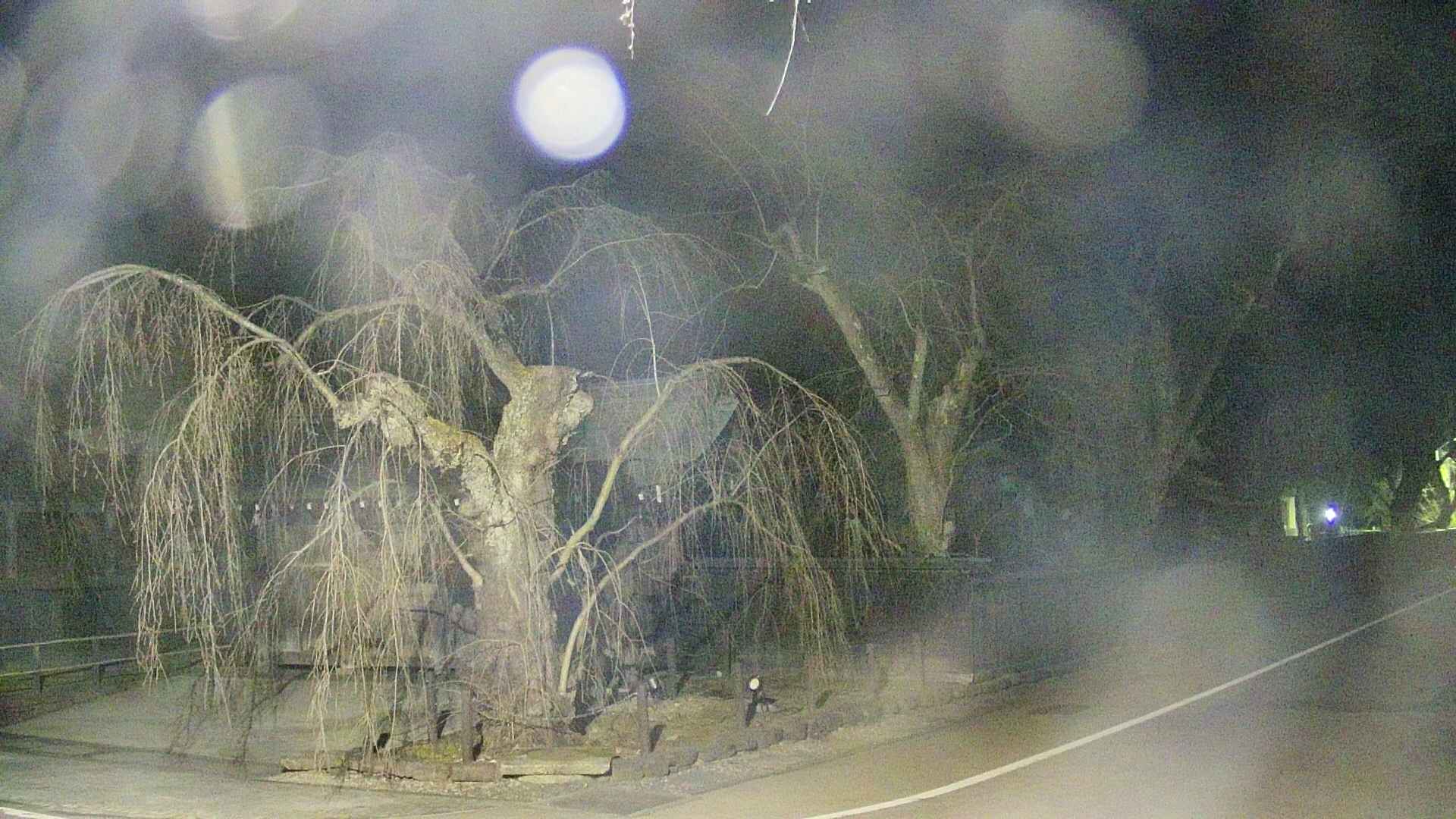area4-20250413215042.jpg