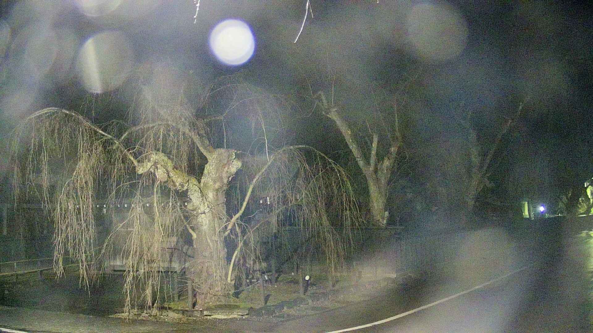 area4-20250414021040.jpg