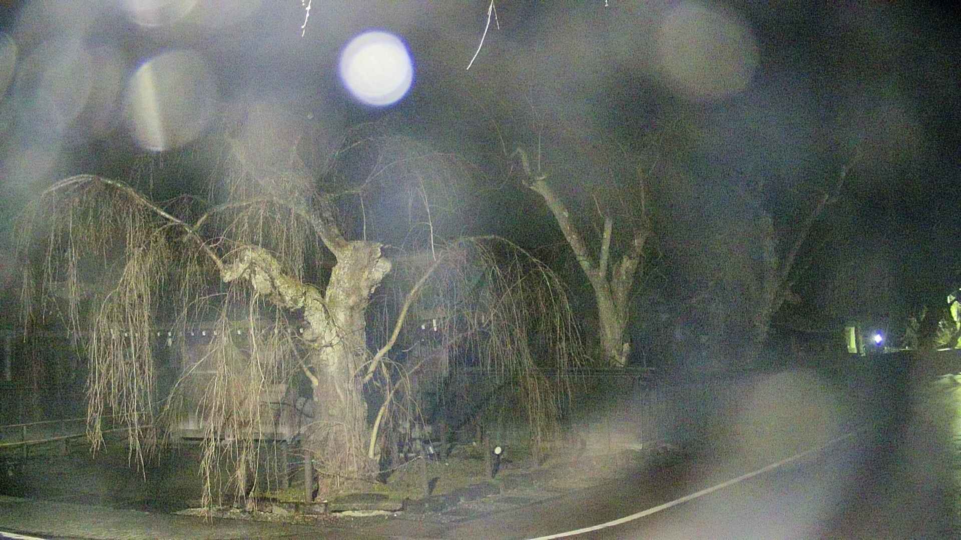 area4-20250414033041.jpg