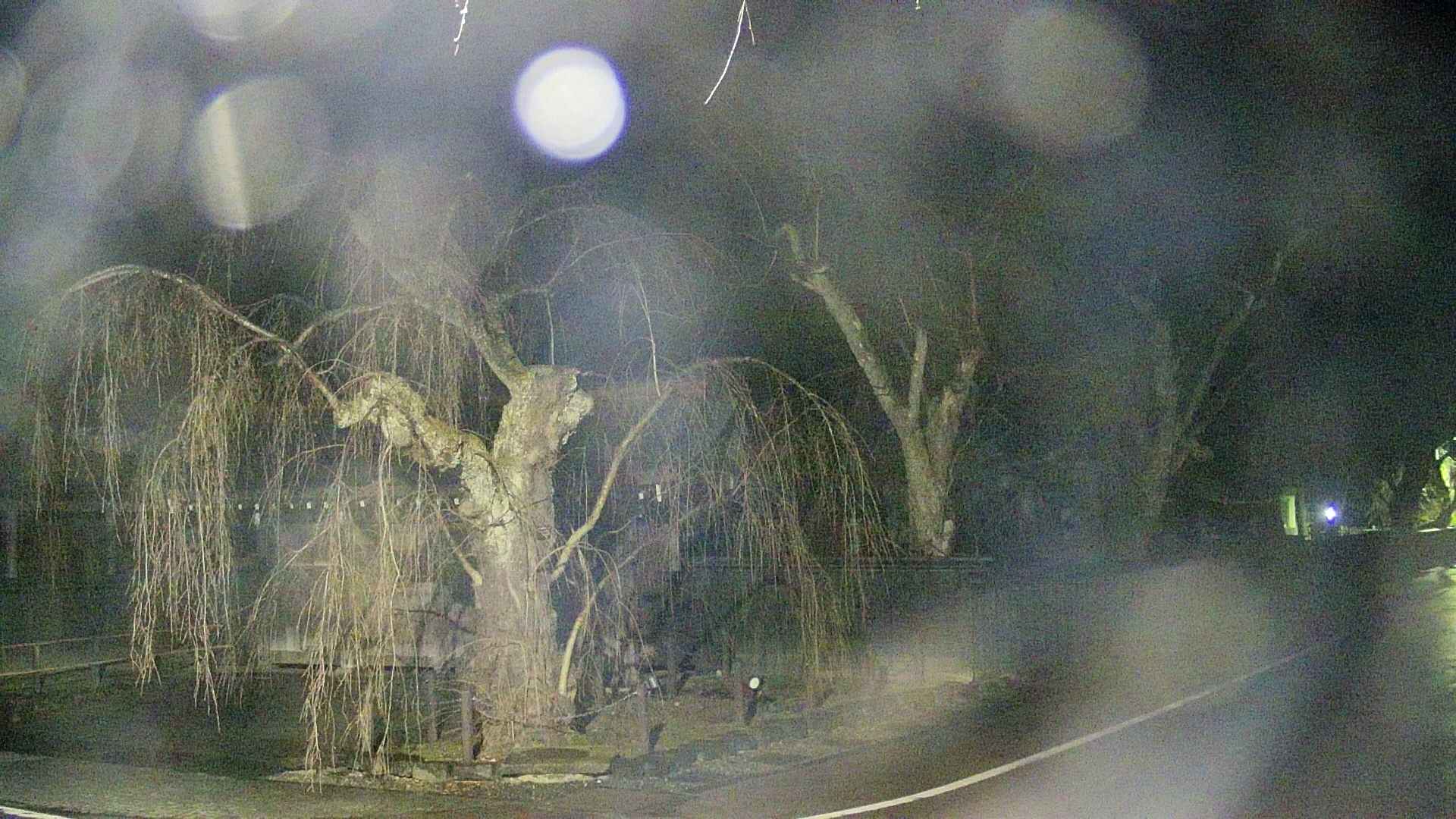 area4-20250414034040.jpg