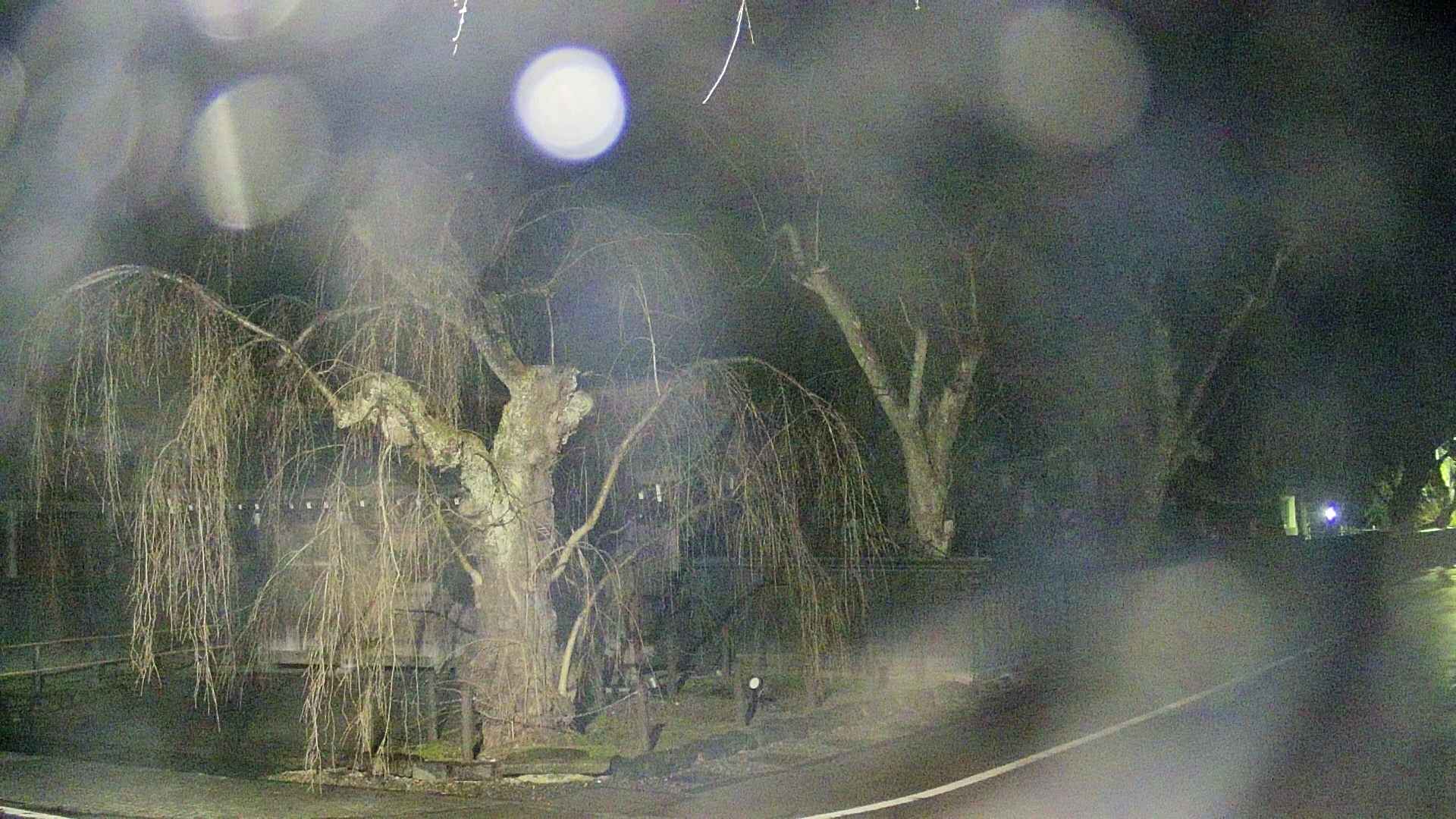 area4-20250414035041.jpg