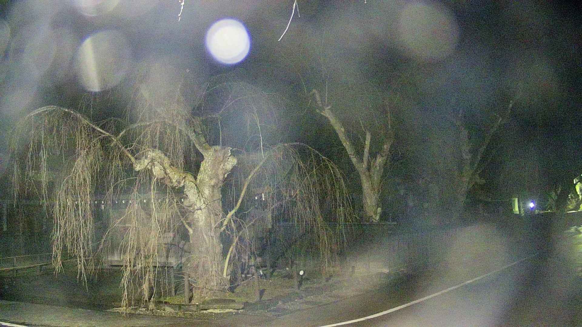area4-20250414041041.jpg