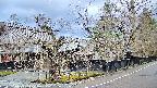 area4-20250414082041.jpg