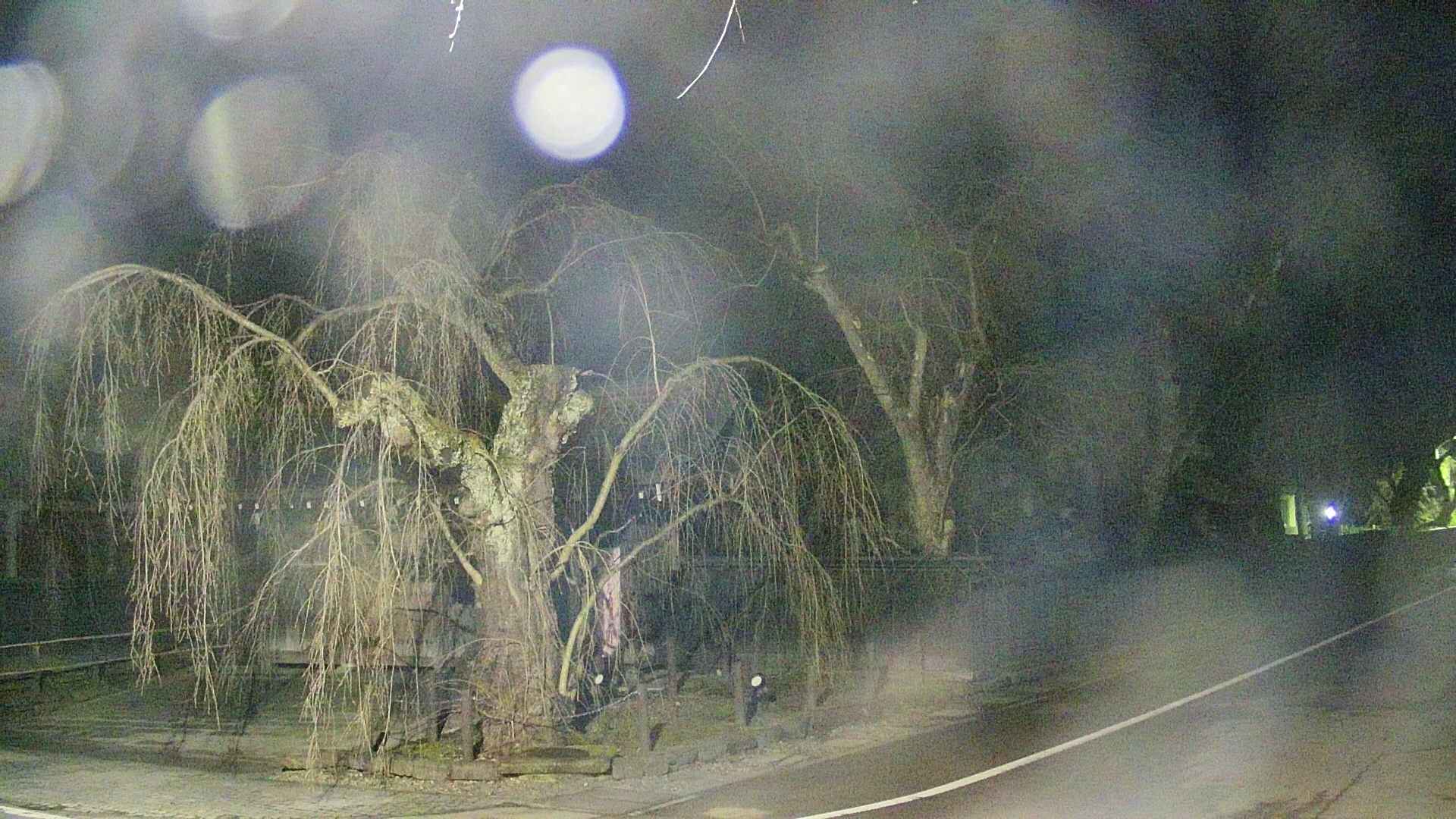 area4-20250415024041.jpg