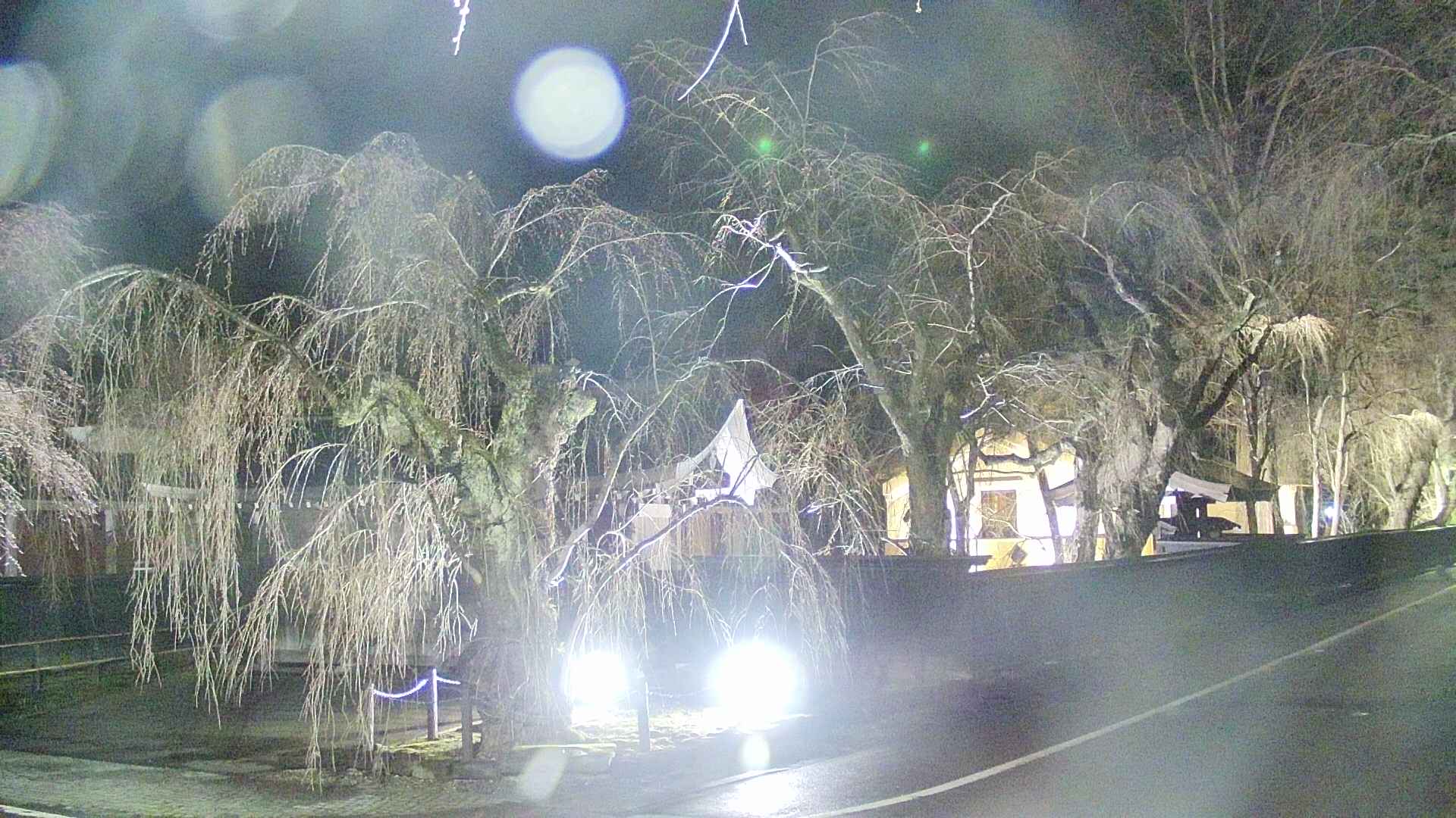 area4-20250415213042.jpg