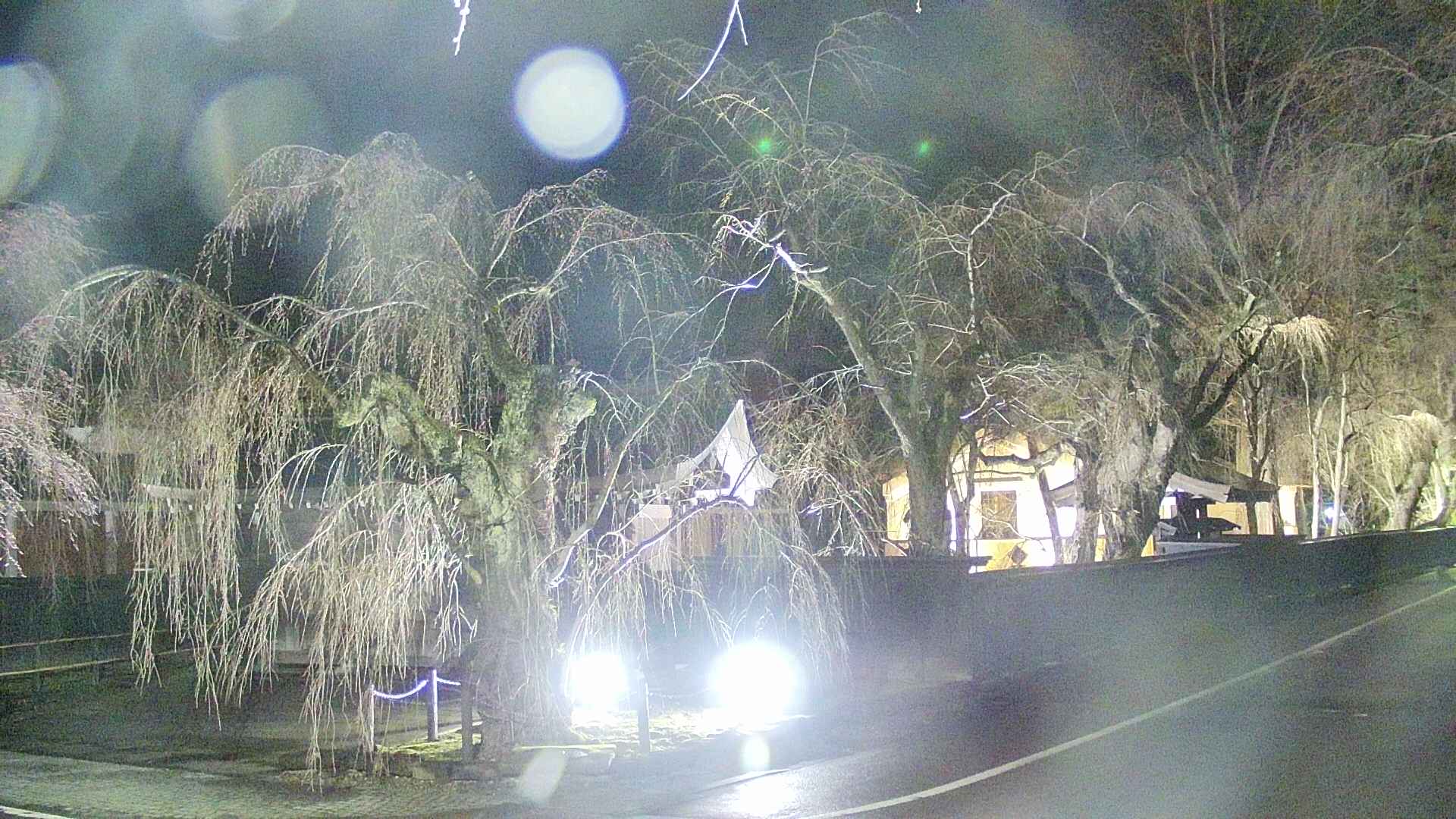 area4-20250415215042.jpg