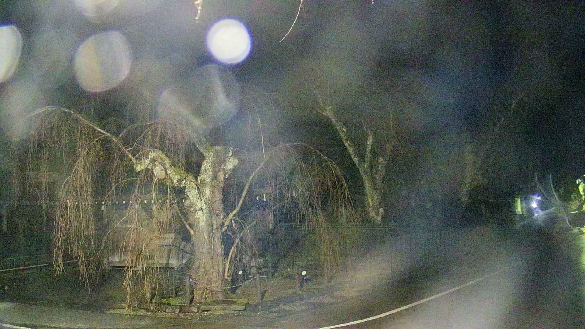 area4-20250416023042.jpg