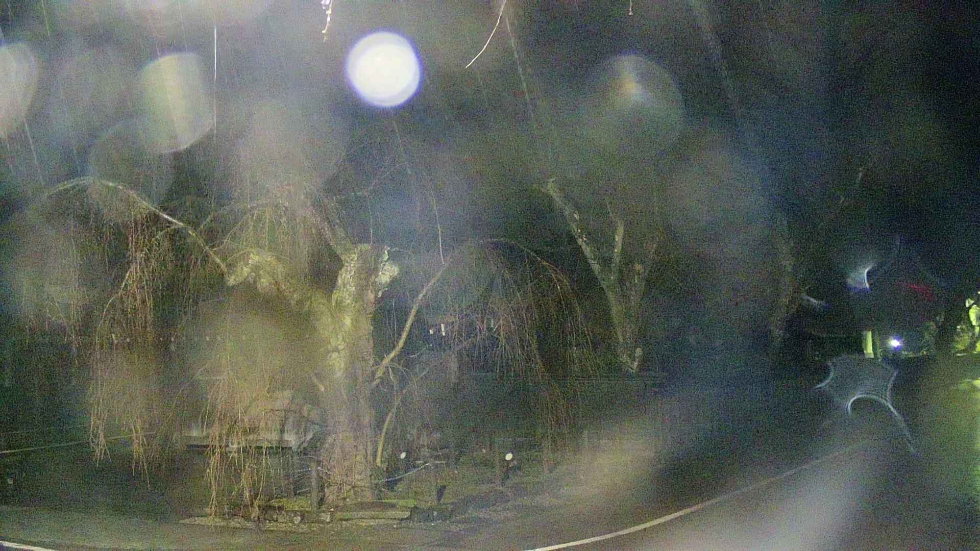 area4-20250416032040.jpg