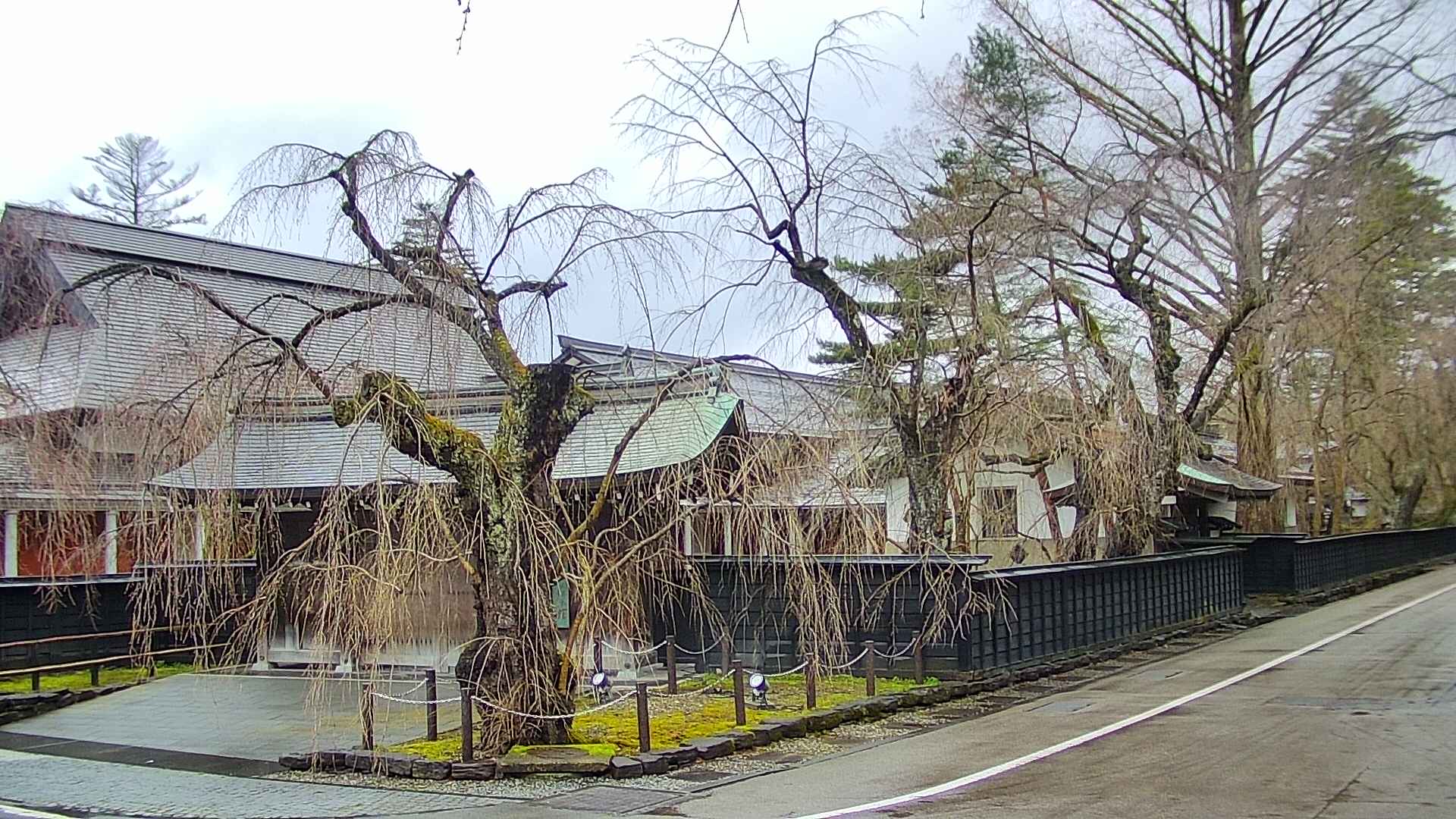 area4-20250416075042.jpg