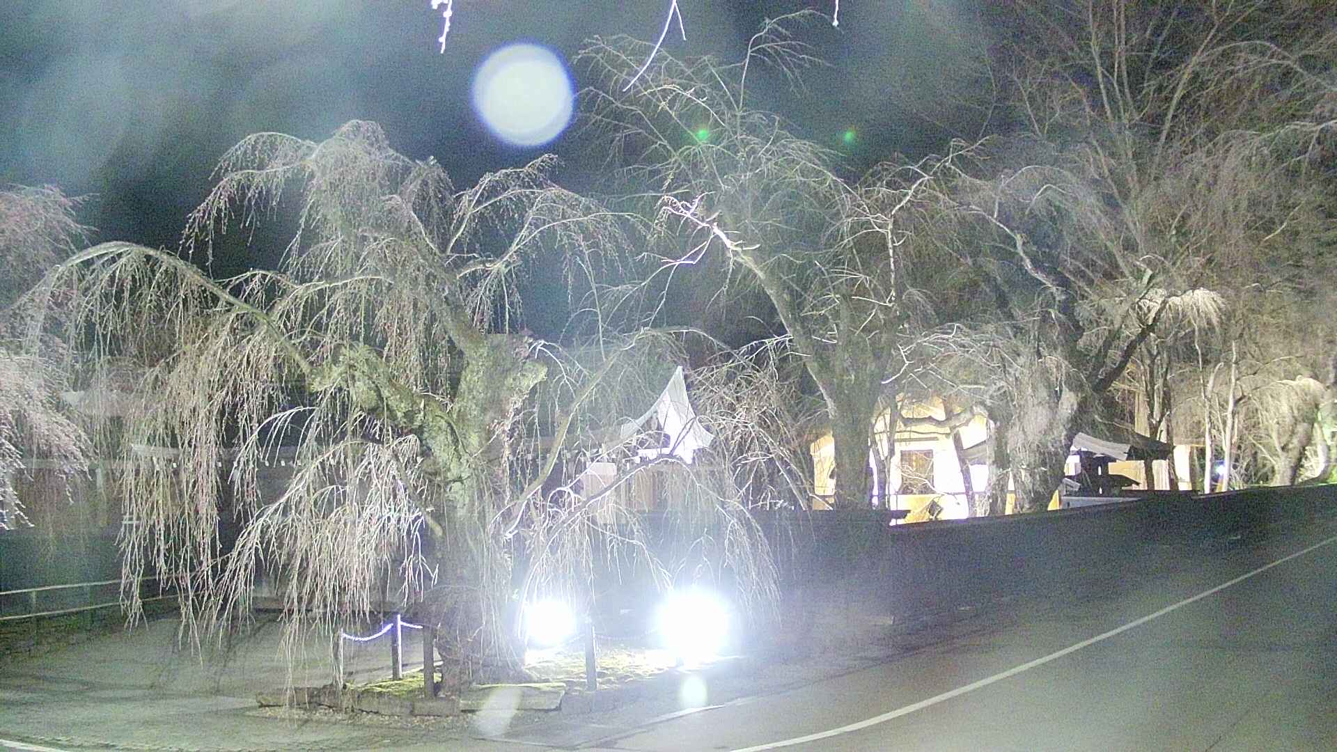 area4-20250416211041.jpg