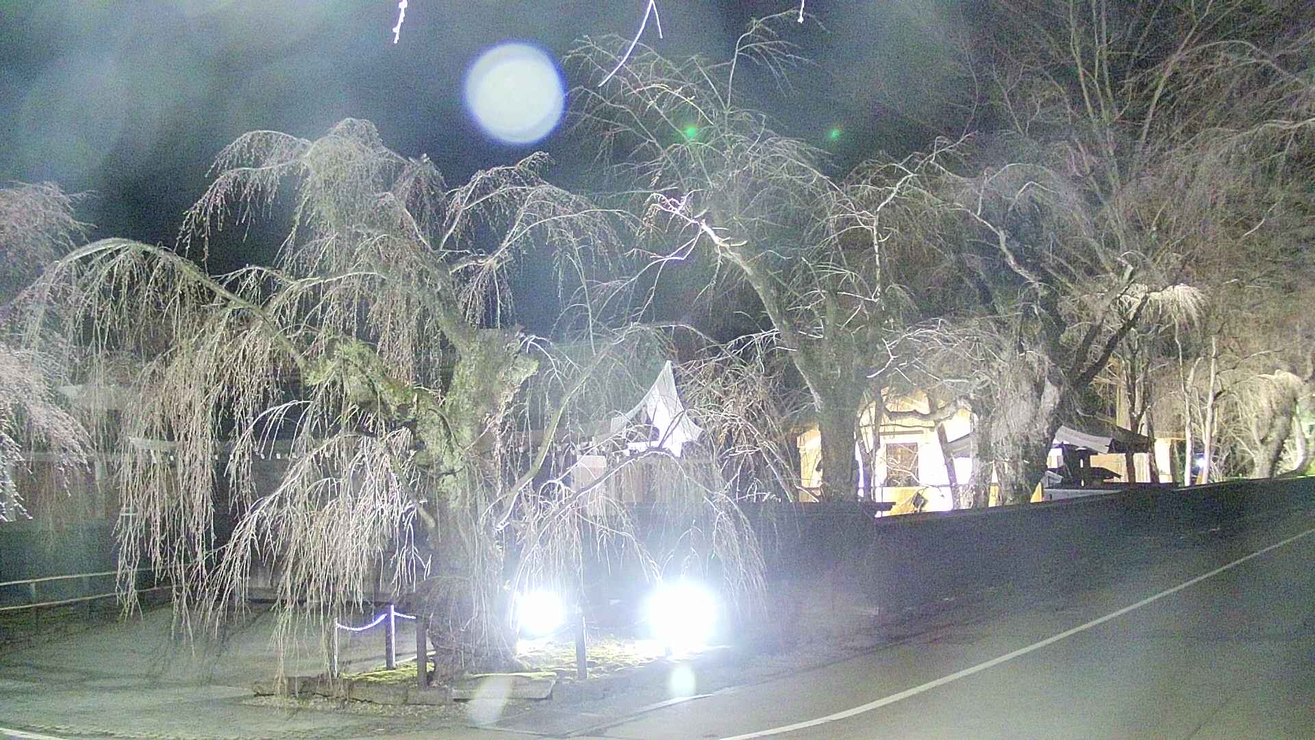 area4-20250416213041.jpg