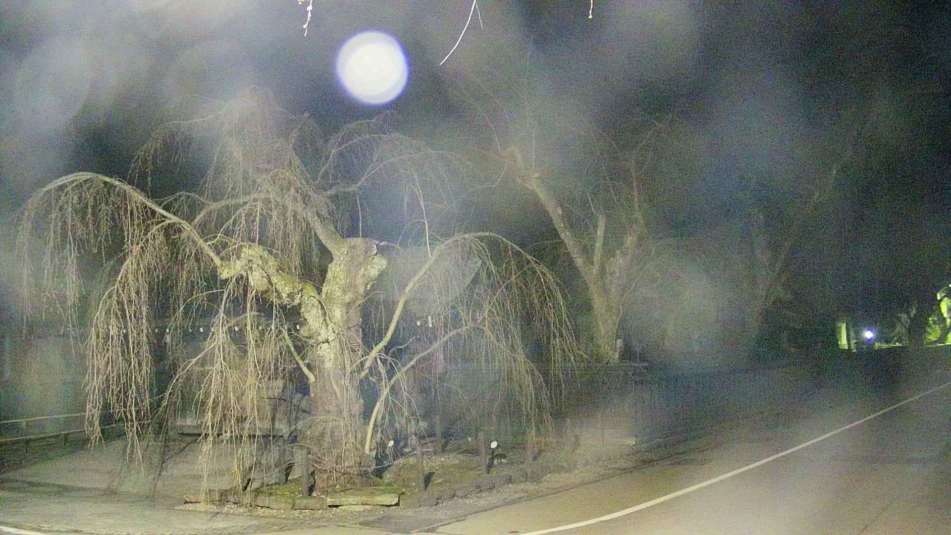 area4-20250417021041.jpg