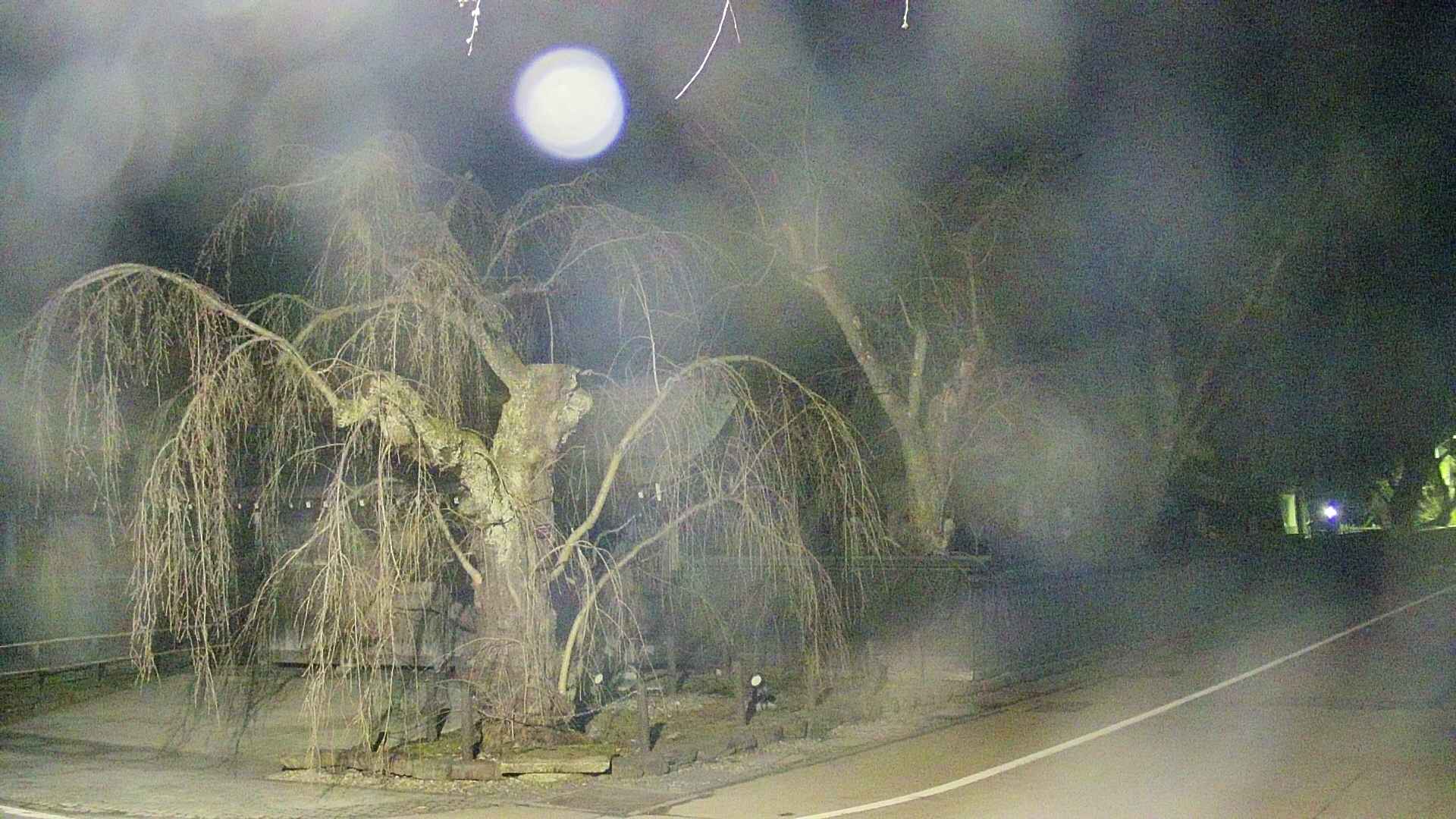 area4-20250417023039.jpg