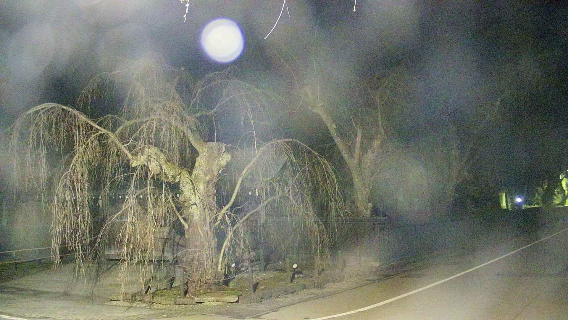 area4-20250417024039.jpg