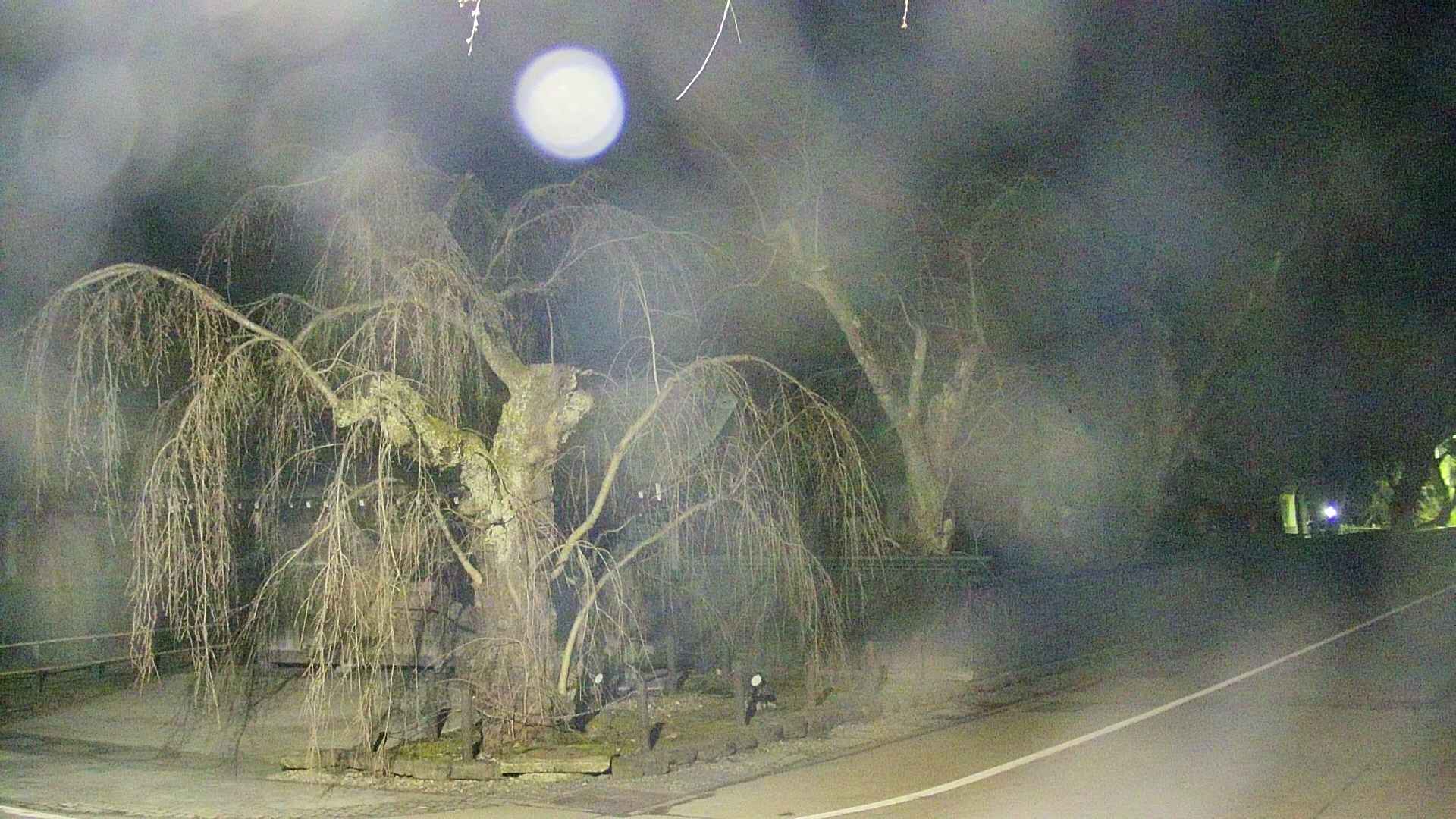 area4-20250417032041.jpg