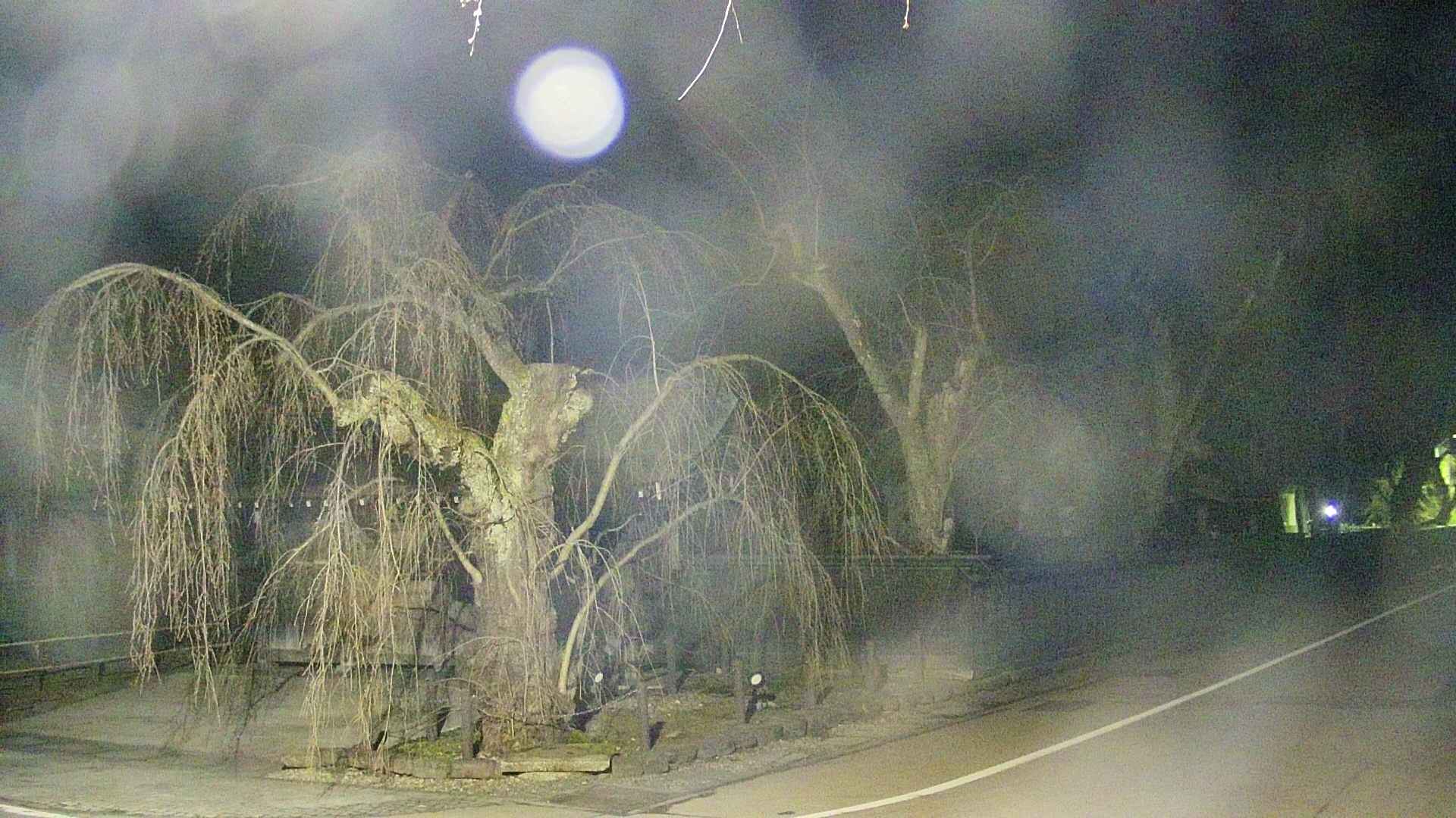 area4-20250417035040.jpg