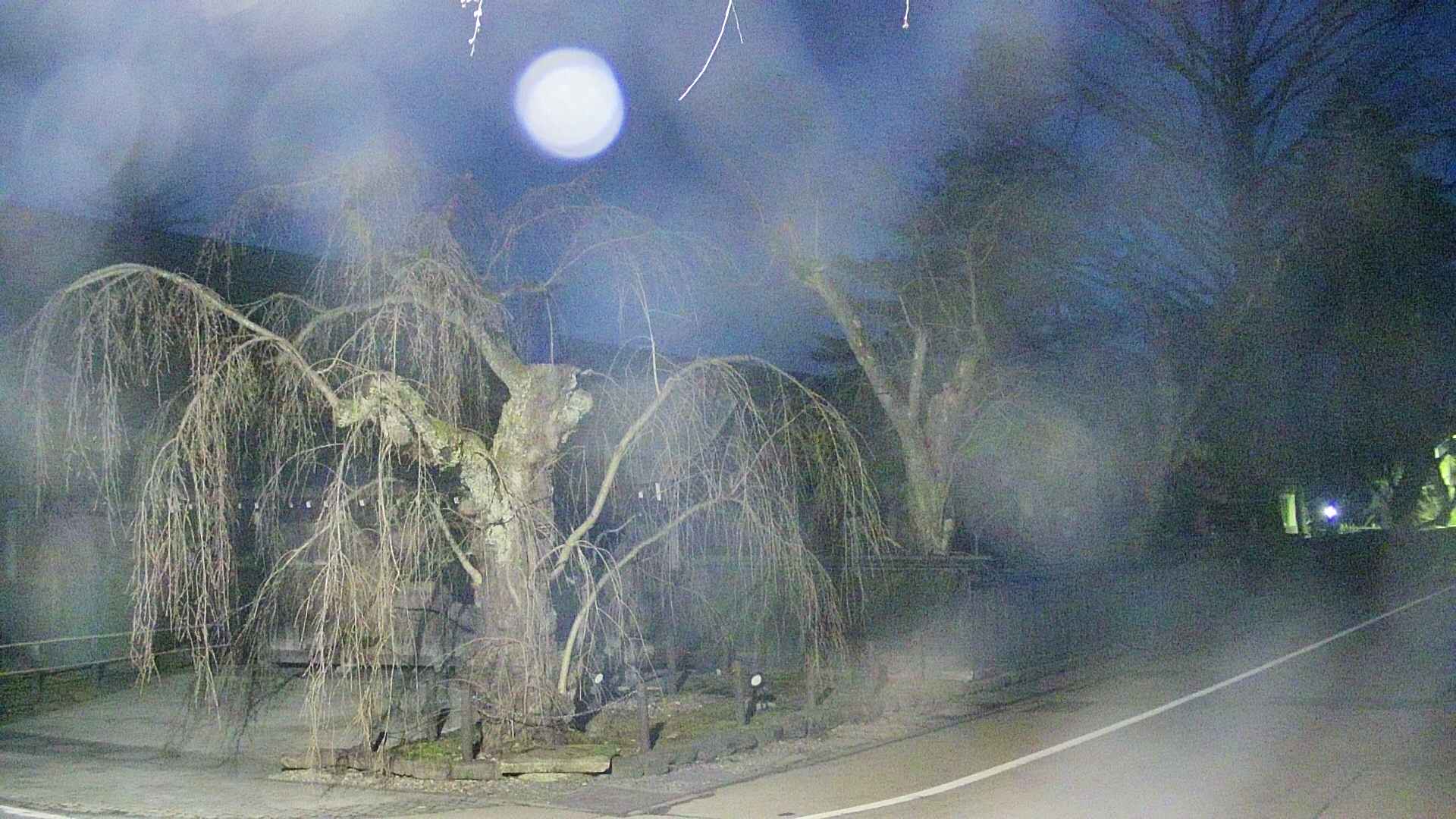 area4-20250417041041.jpg