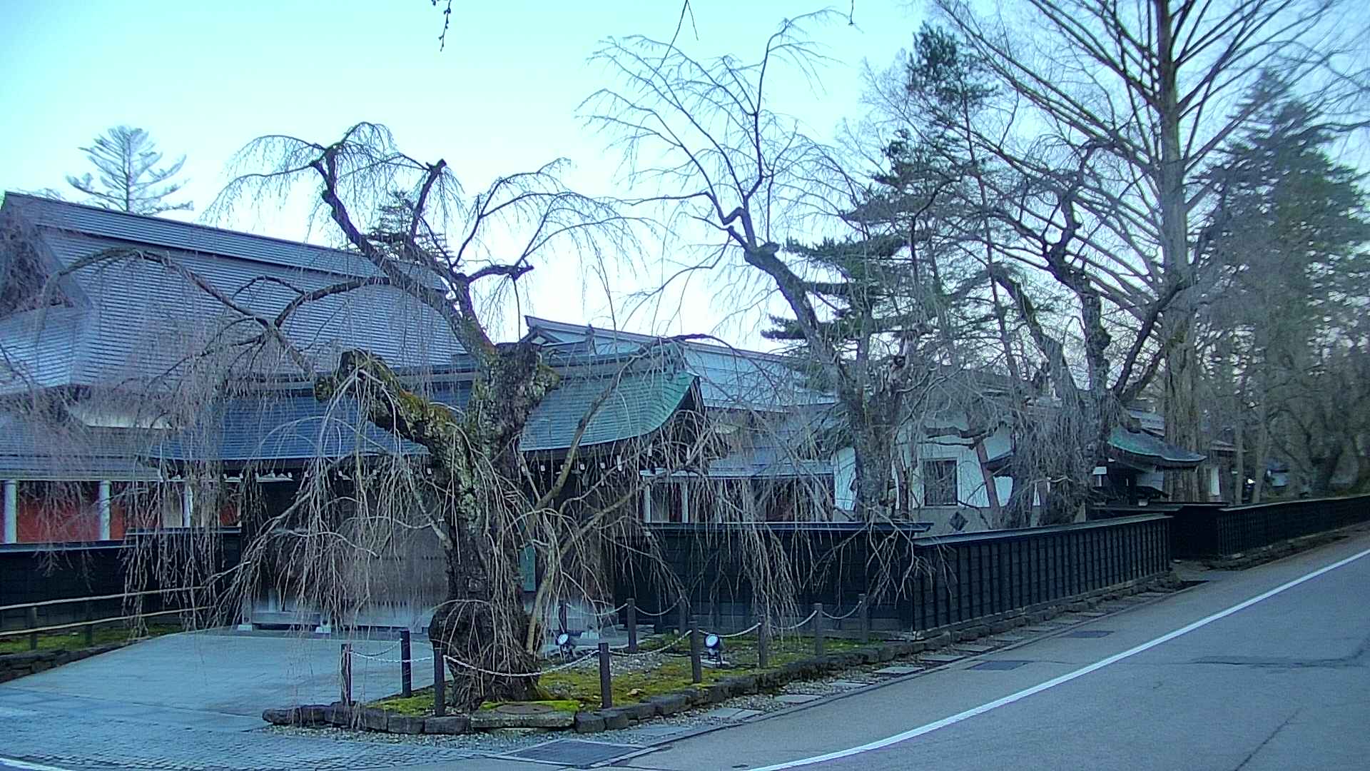 area4-20250417051041.jpg