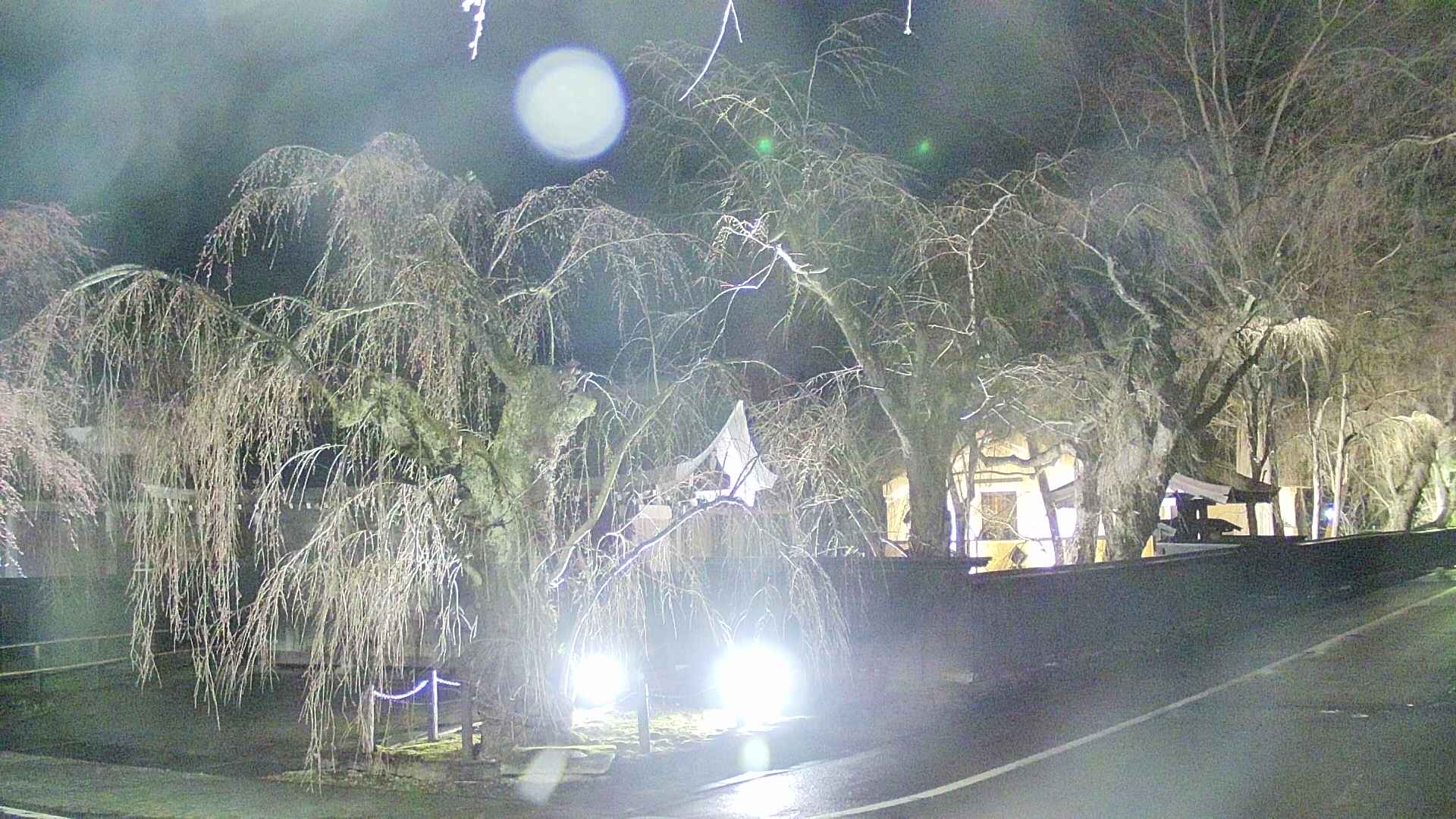 area4-20250417212041.jpg