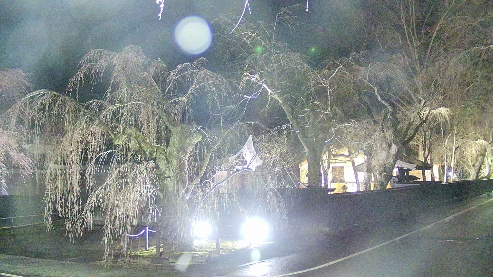 area4-20250417215040.jpg