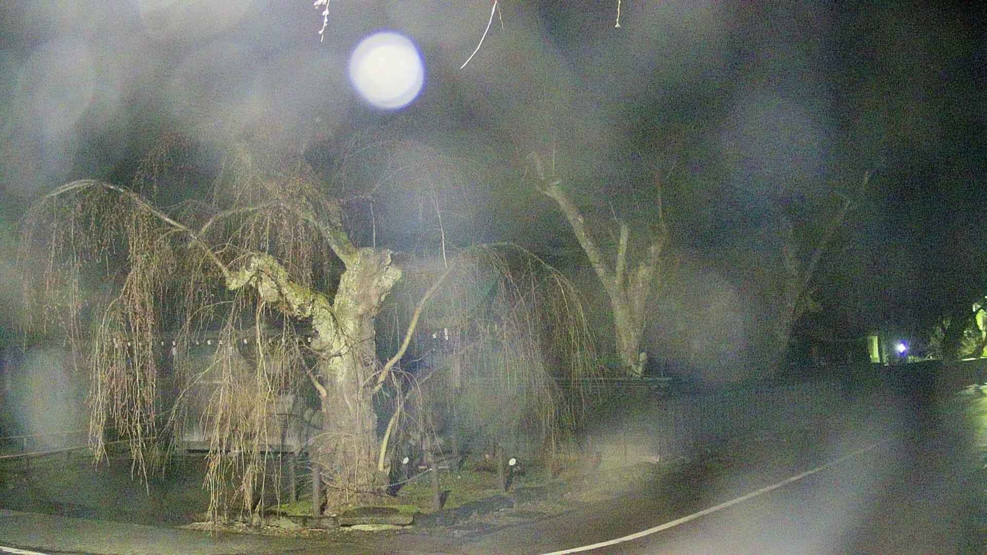 area4-20250418021039.jpg