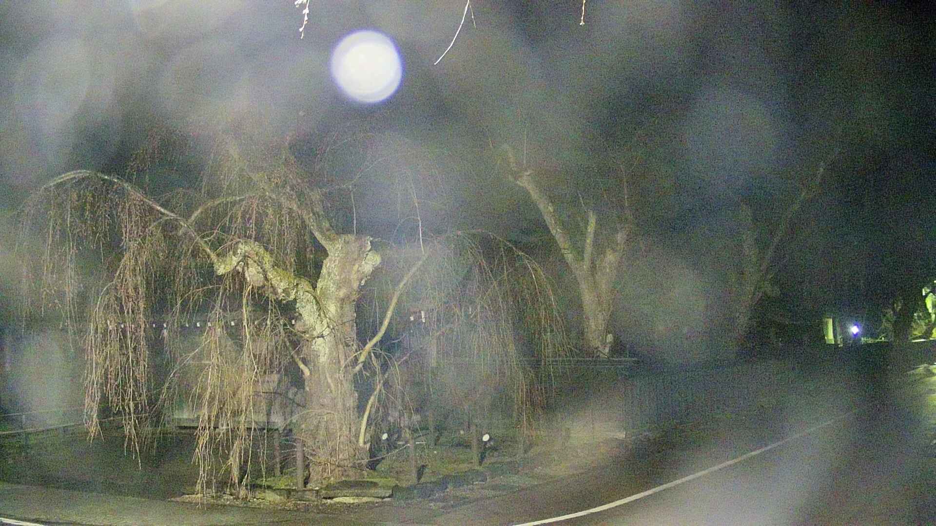 area4-20250418023041.jpg