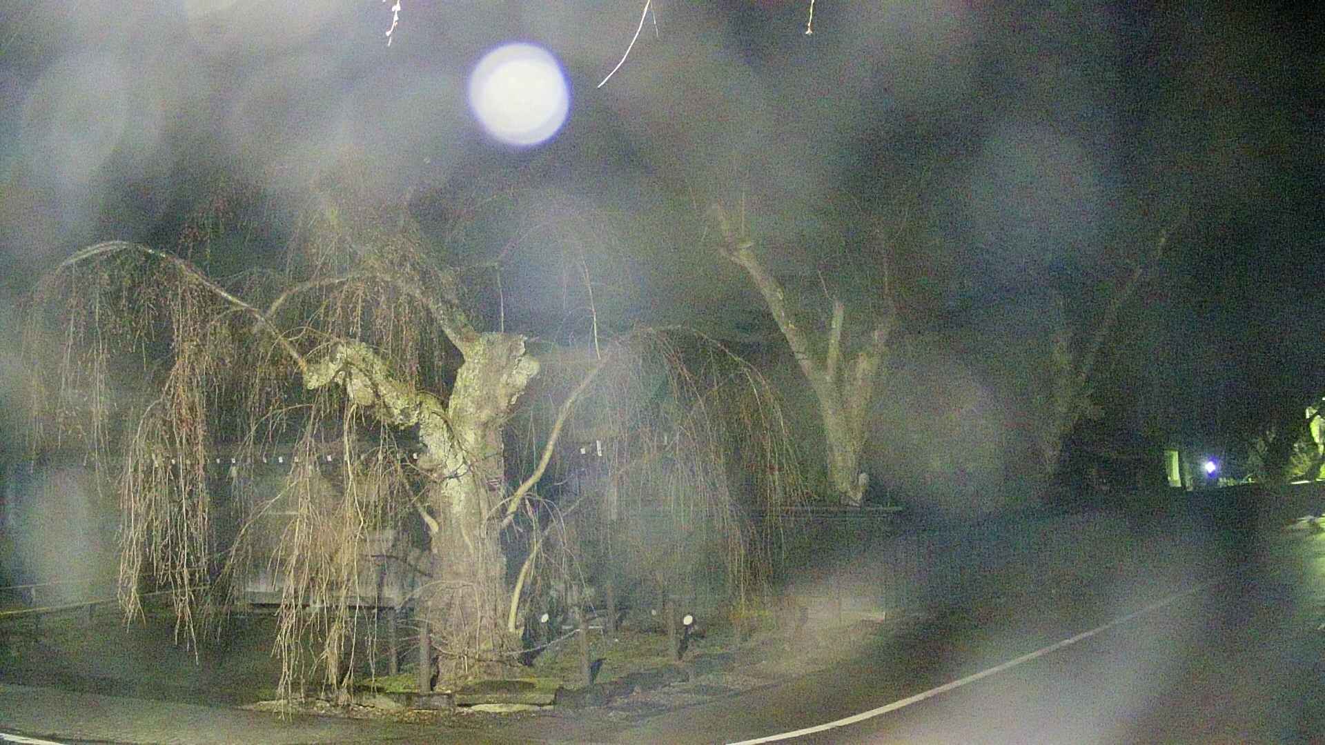 area4-20250418024040.jpg