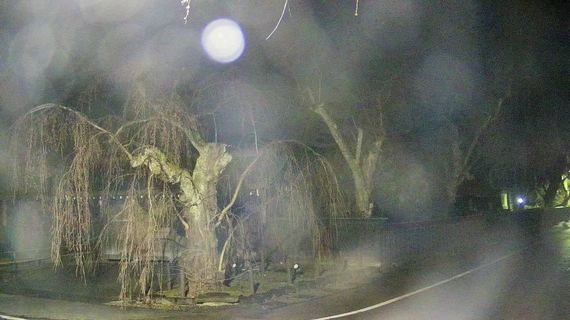 area4-20250418025040.jpg