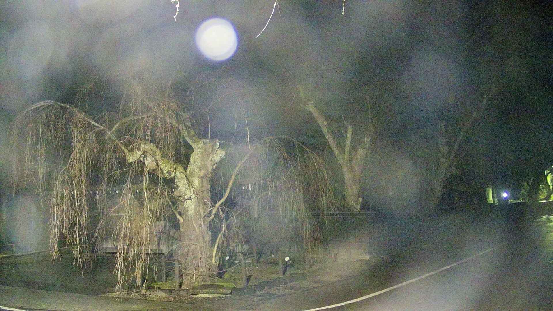 area4-20250418032040.jpg