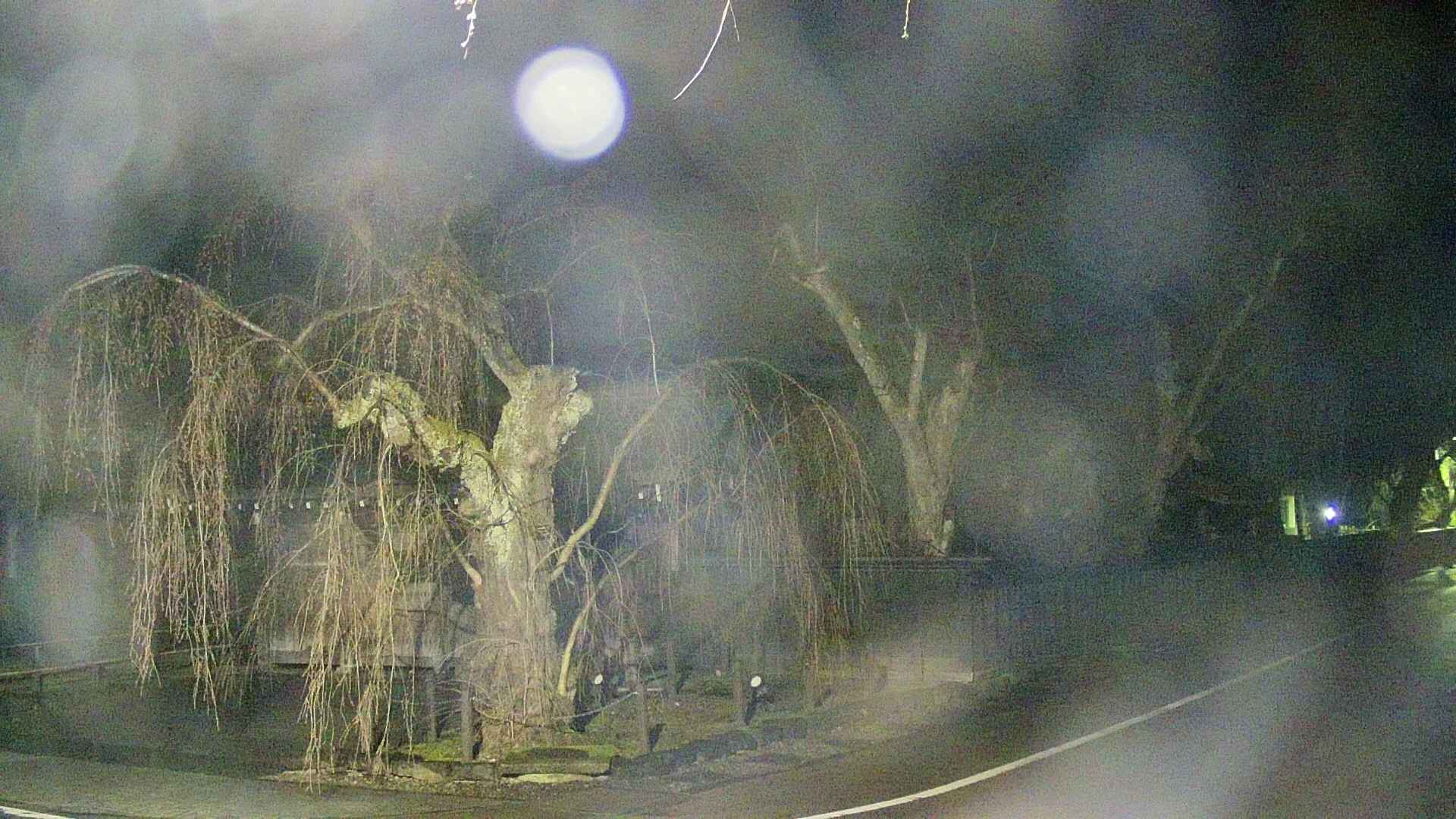 area4-20250418034039.jpg