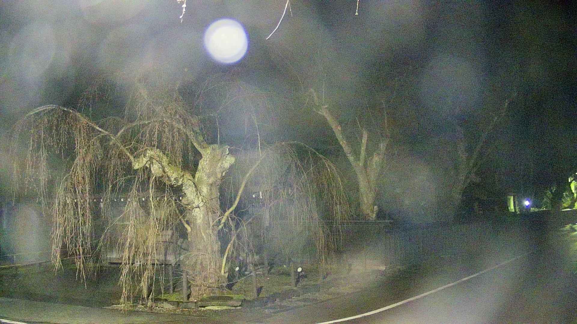 area4-20250418035040.jpg