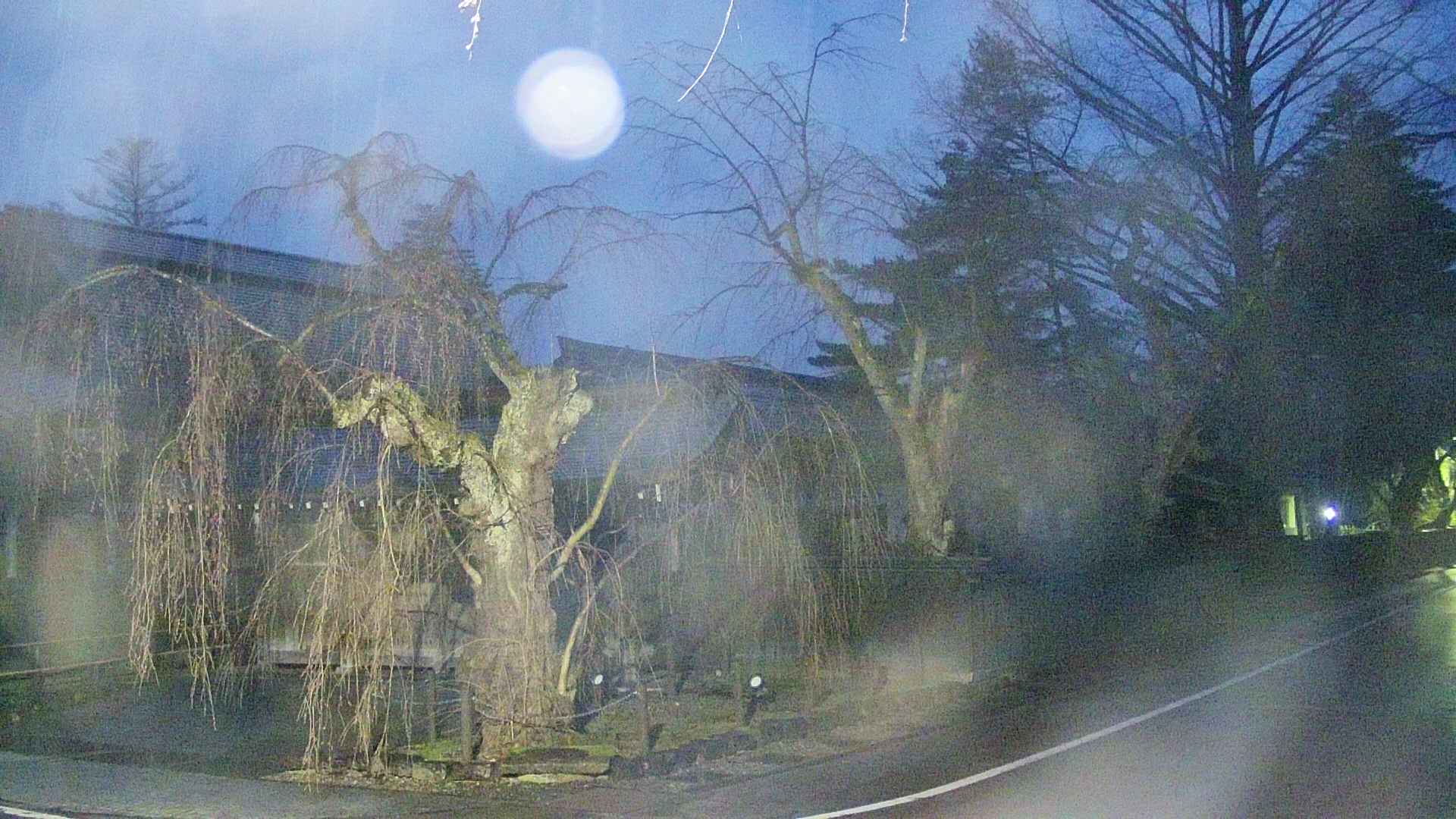 area4-20250418043053.jpg