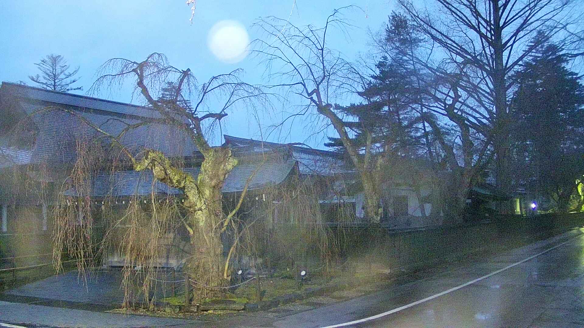 area4-20250418044041.jpg