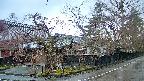 area4-20250418054039.jpg