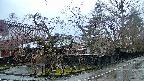 area4-20250418055040.jpg