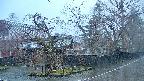 area4-20250418063040.jpg