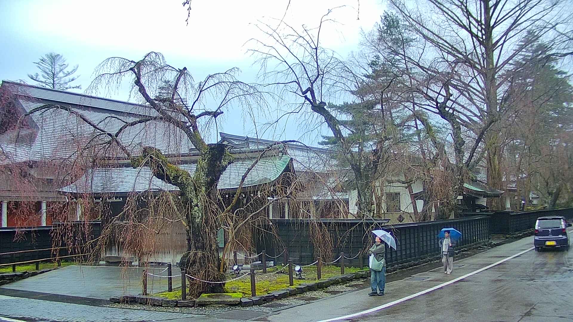 area4-20250418173040.jpg