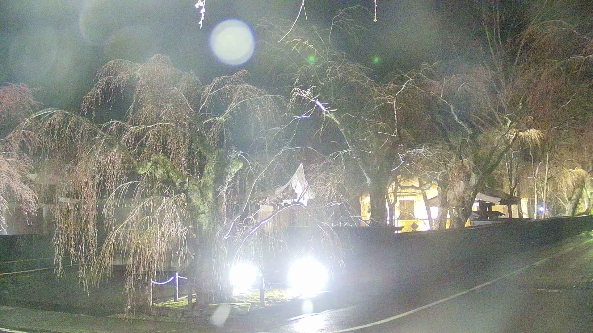 area4-20250418211041.jpg