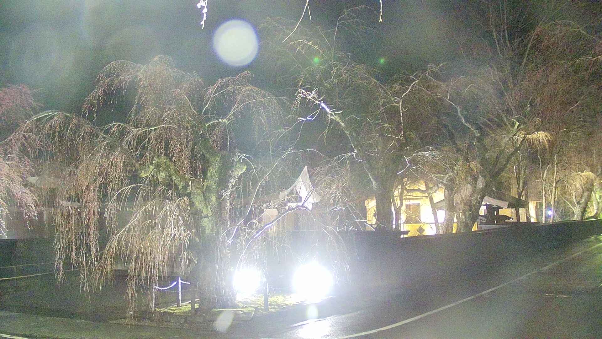 area4-20250418212040.jpg