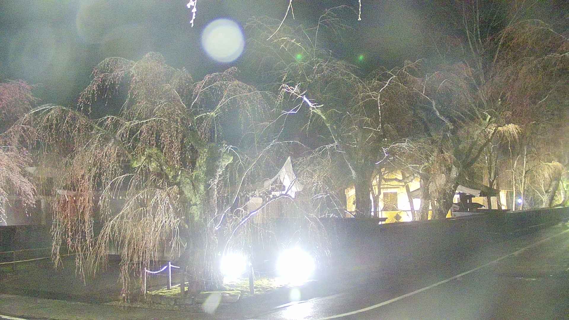 area4-20250418213042.jpg