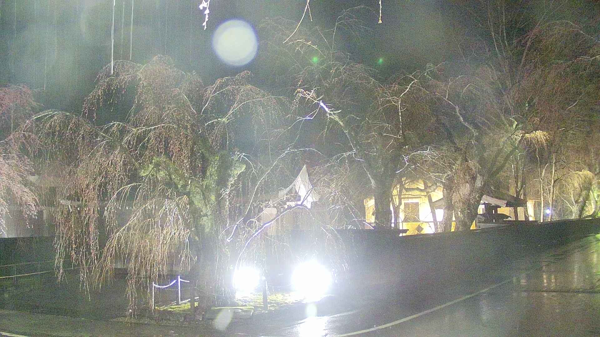 area4-20250418215041.jpg