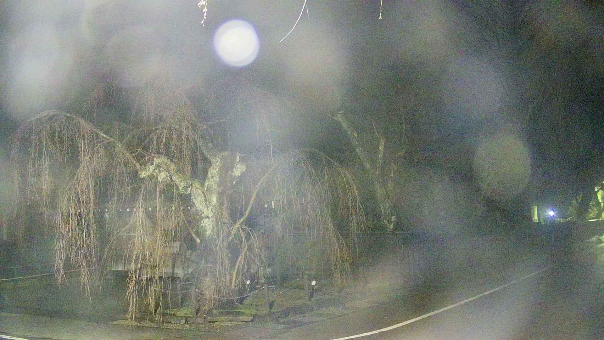 area4-20250419021041.jpg