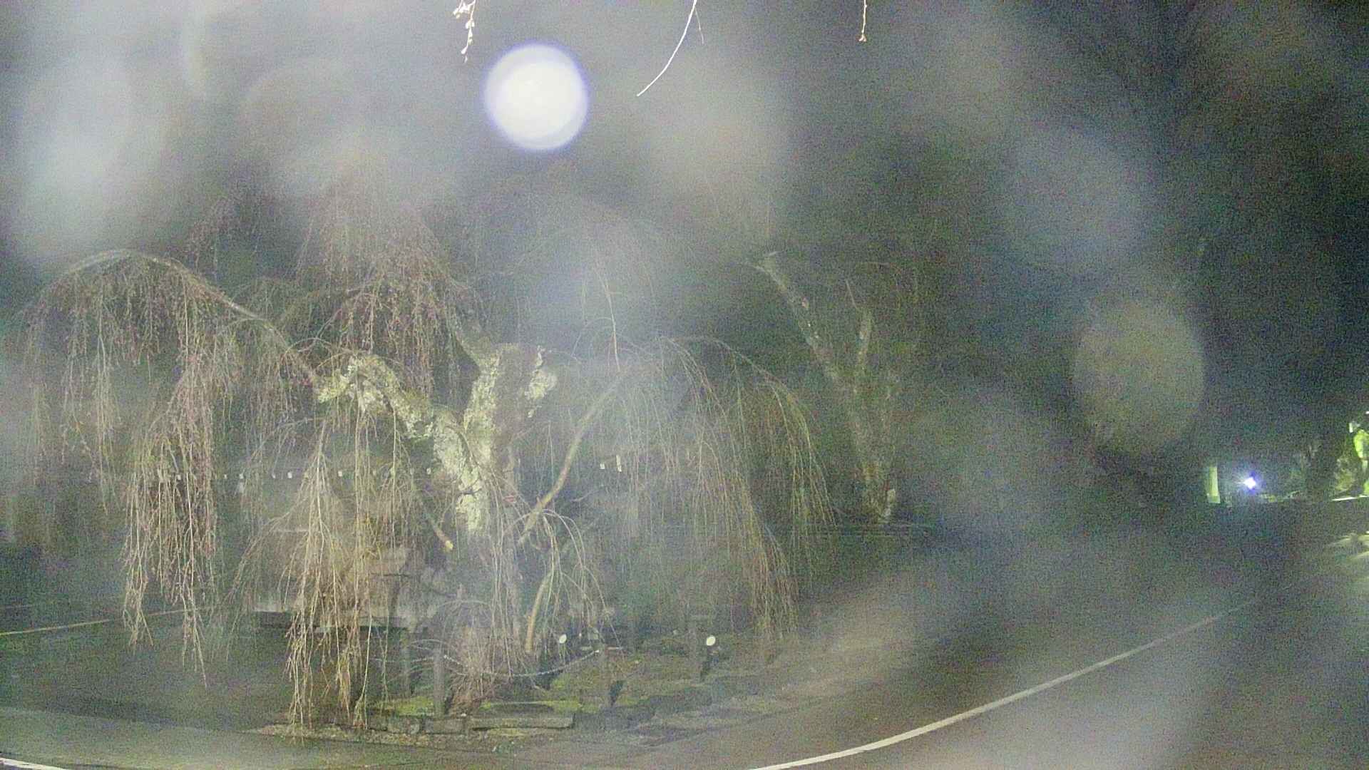 area4-20250419023041.jpg
