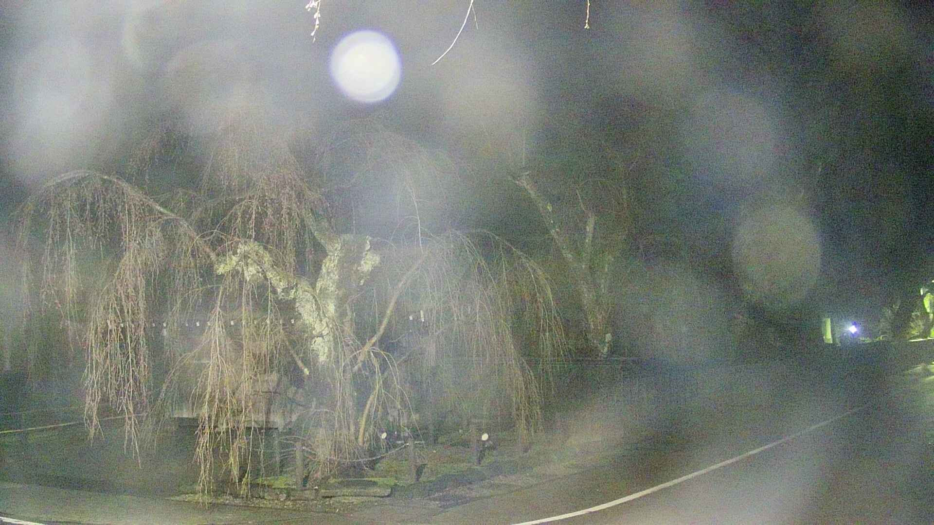 area4-20250419024041.jpg