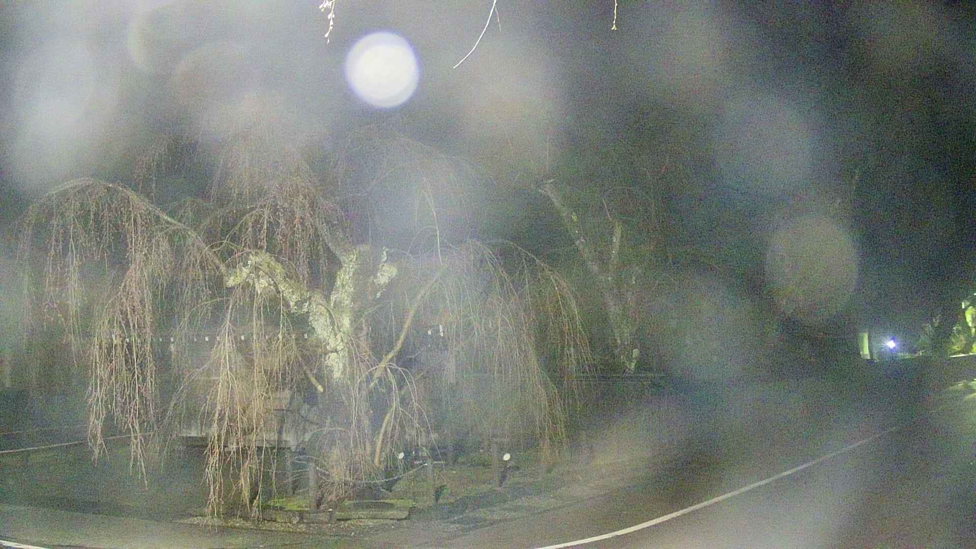 area4-20250419025041.jpg