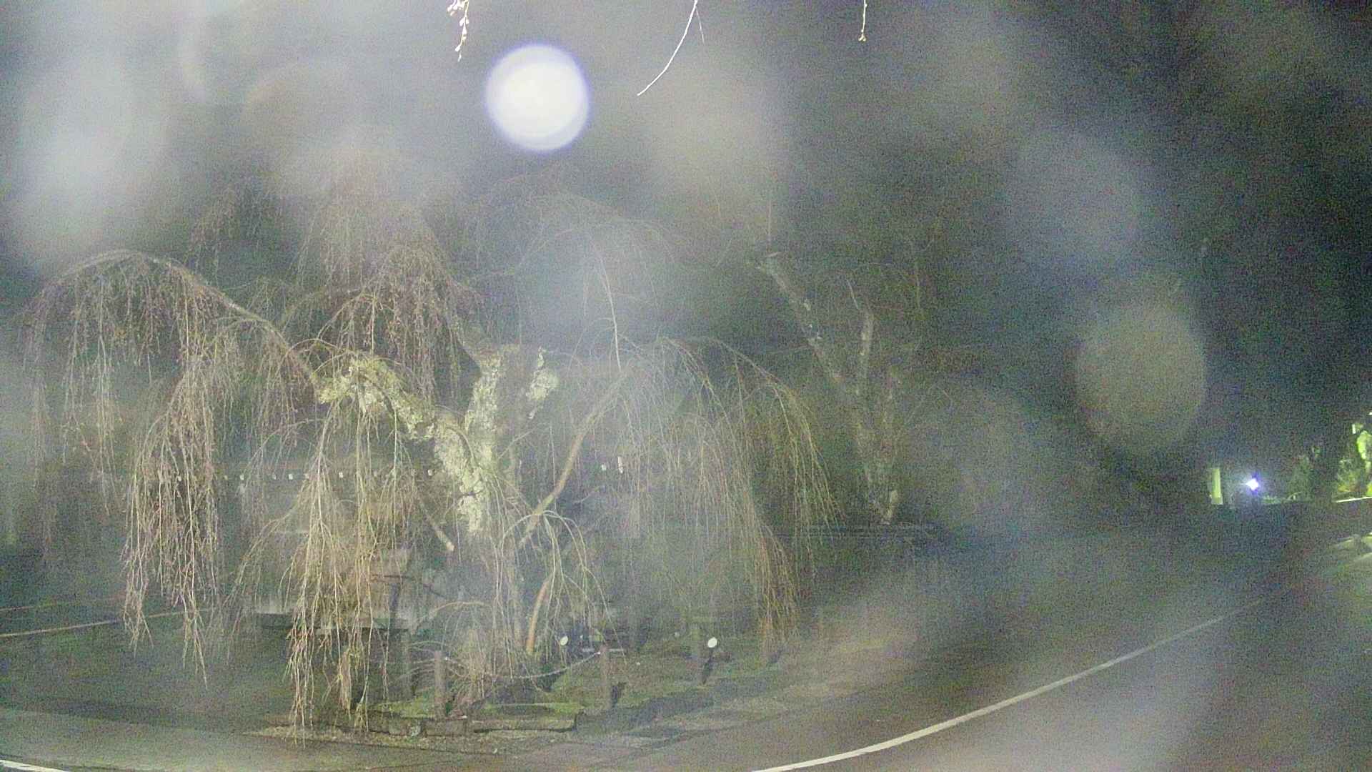 area4-20250419032041.jpg