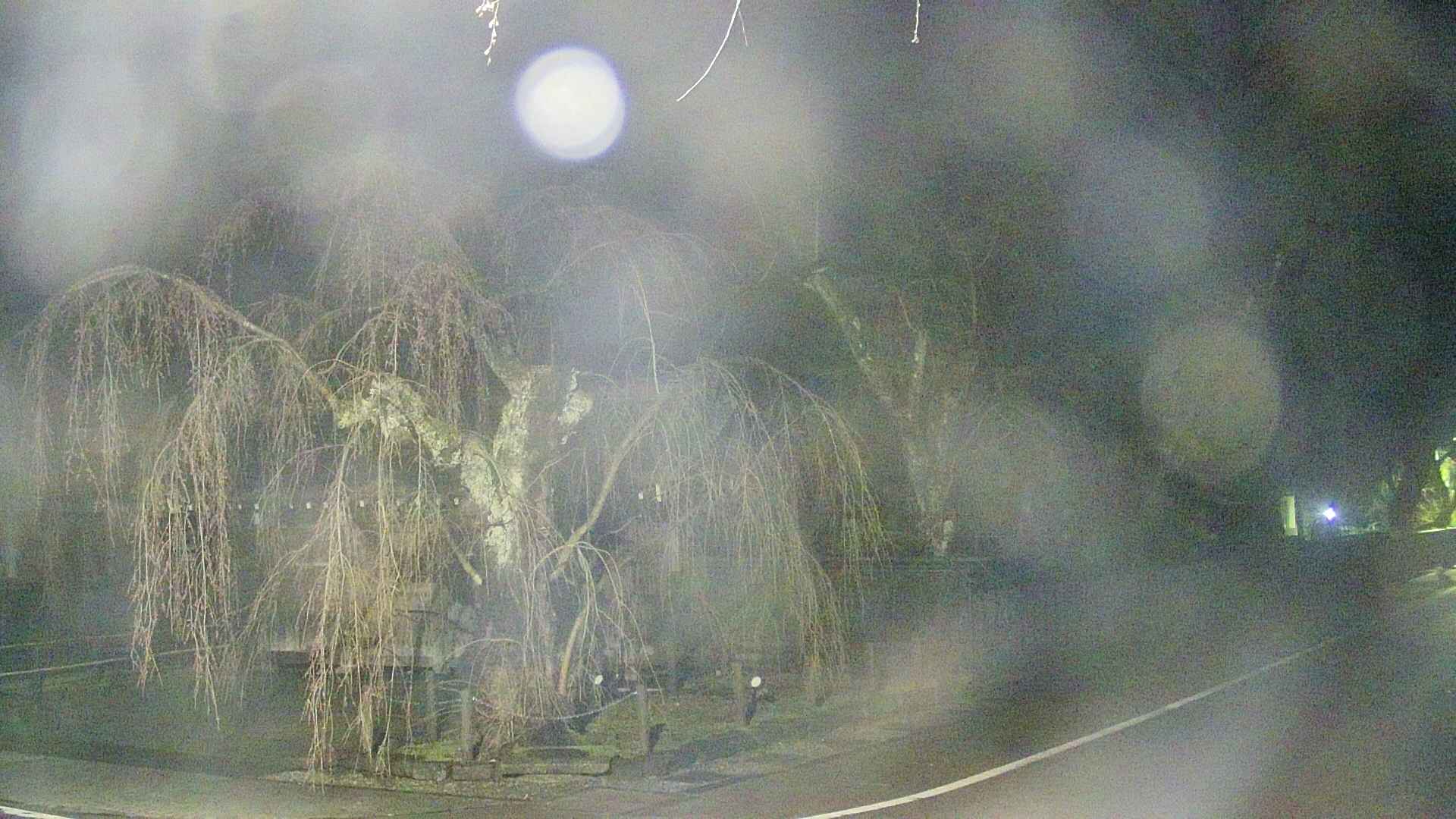 area4-20250419034041.jpg