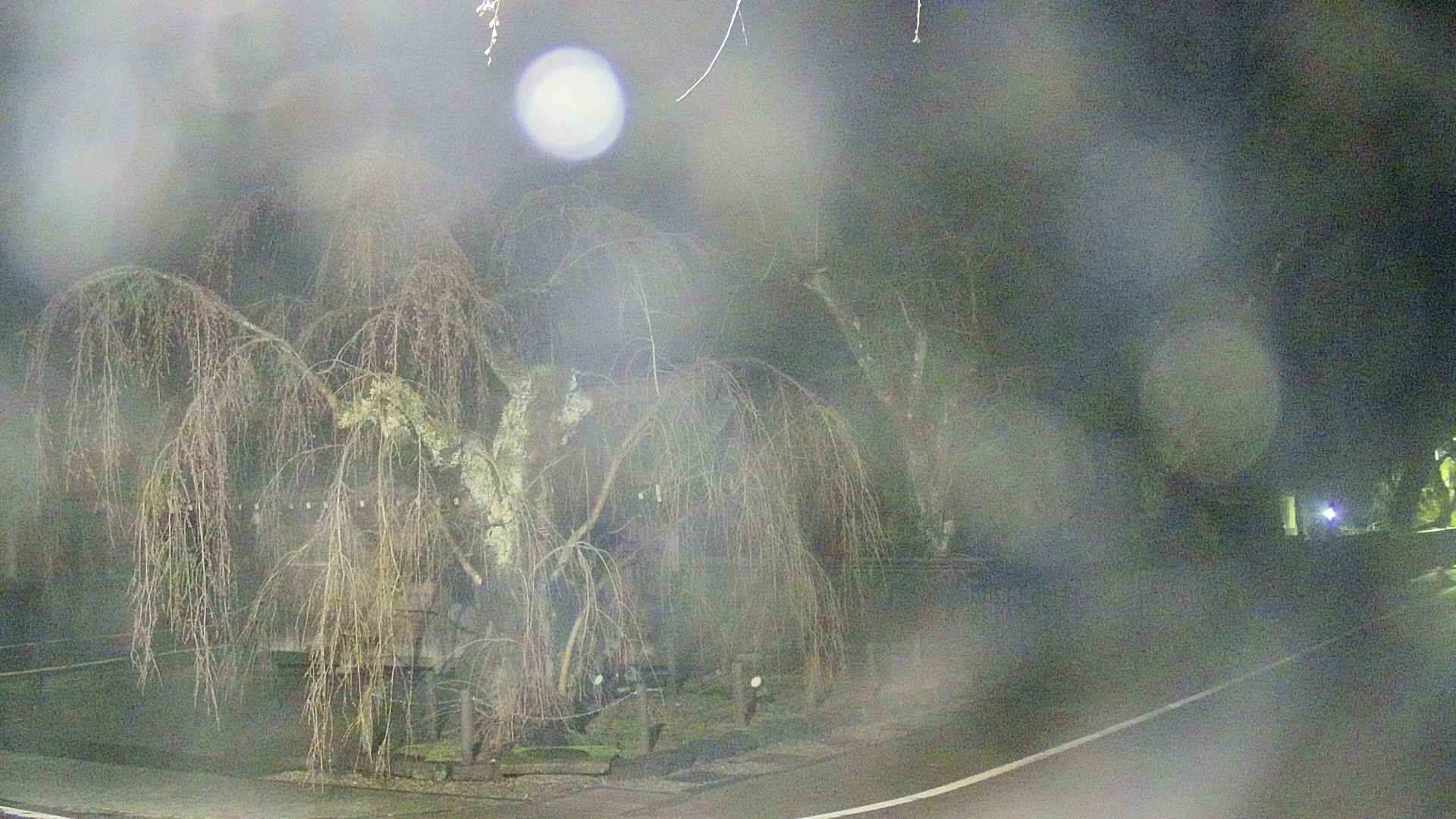 area4-20250419035040.jpg